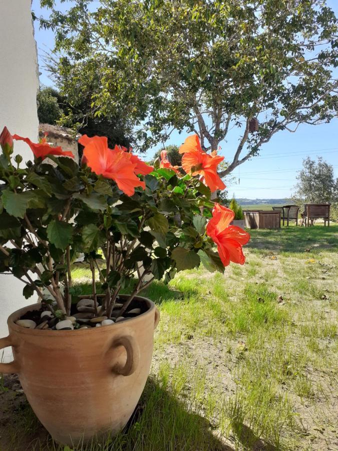 Апартаменты ***** Quinta Do Por Do Sol ***** Фигейра-да-Фош Экстерьер фото